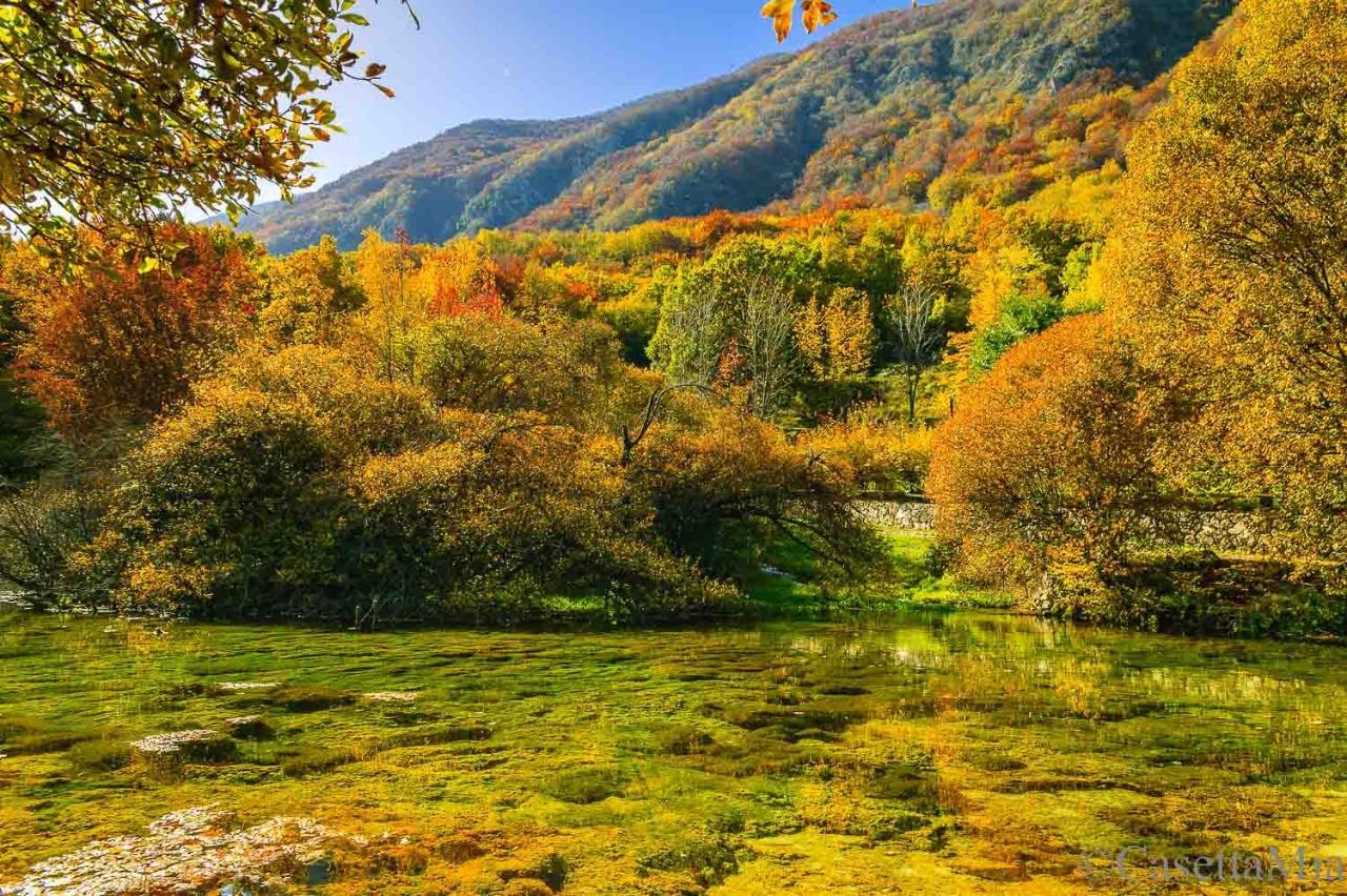 Casetta Mia Canistro Buitenkant foto