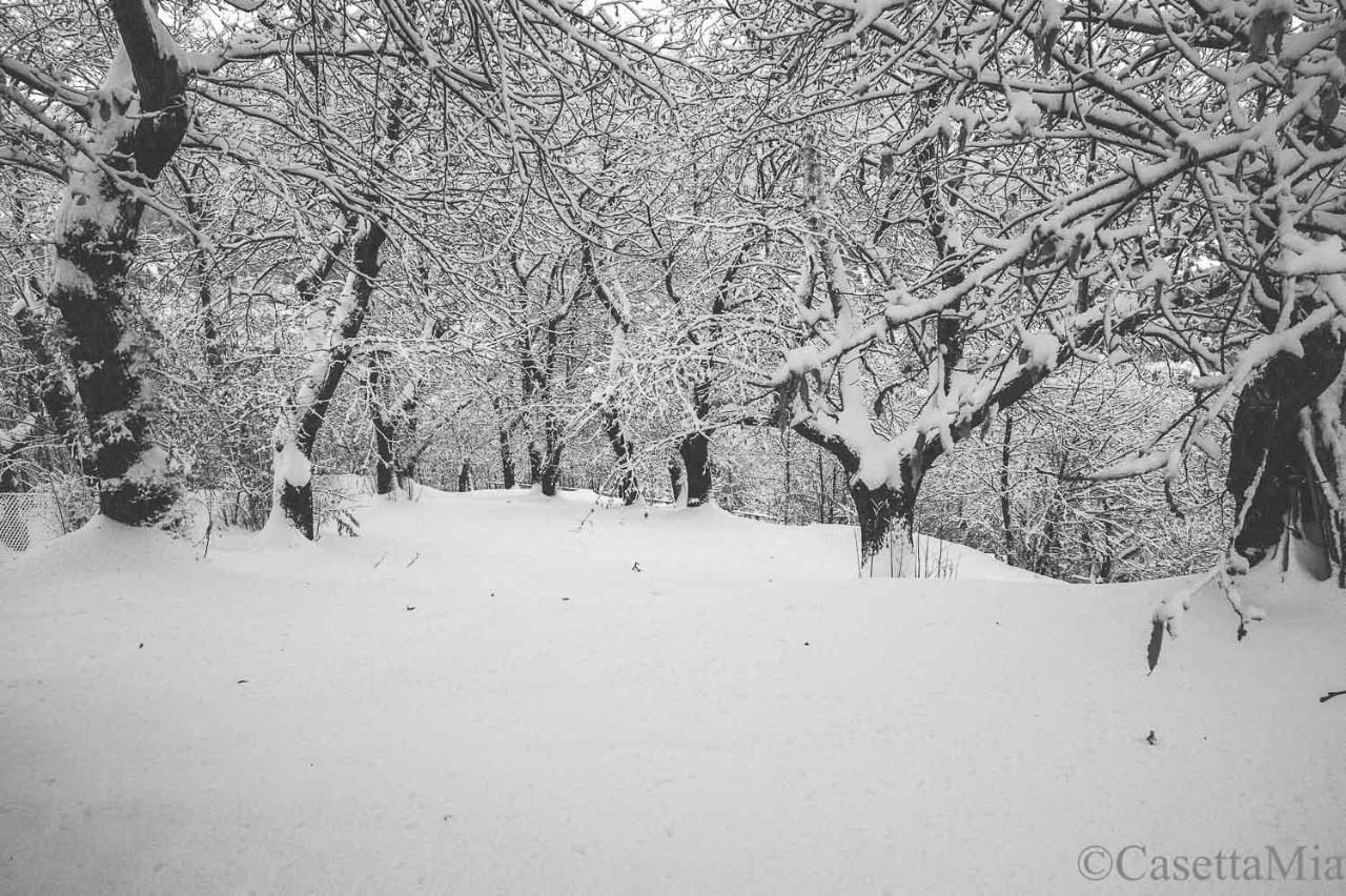 Casetta Mia Canistro Buitenkant foto