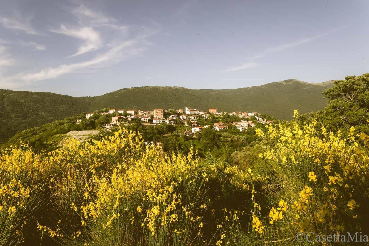 Casetta Mia Canistro Buitenkant foto
